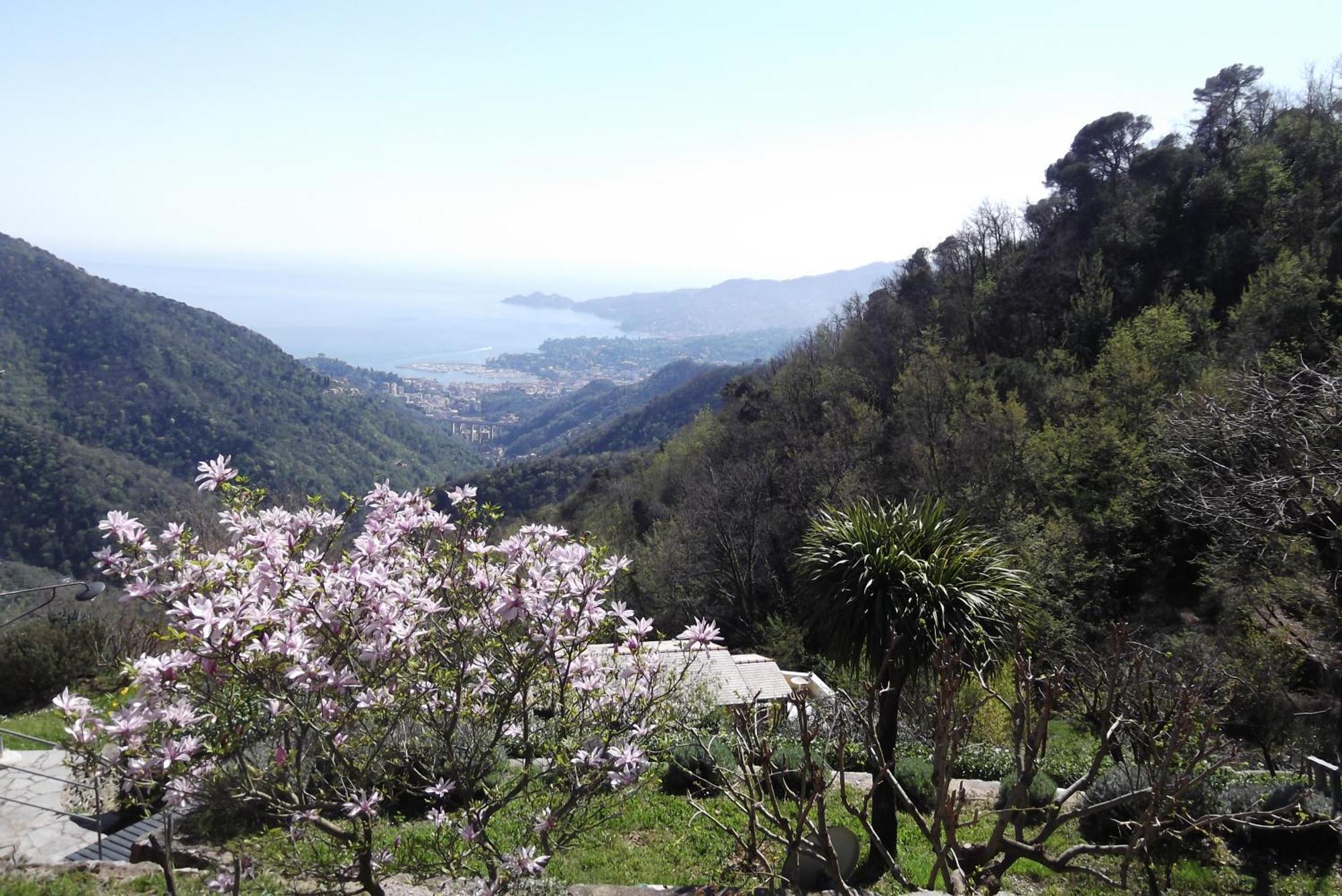 شقة Vista Portofino راباللو المظهر الخارجي الصورة