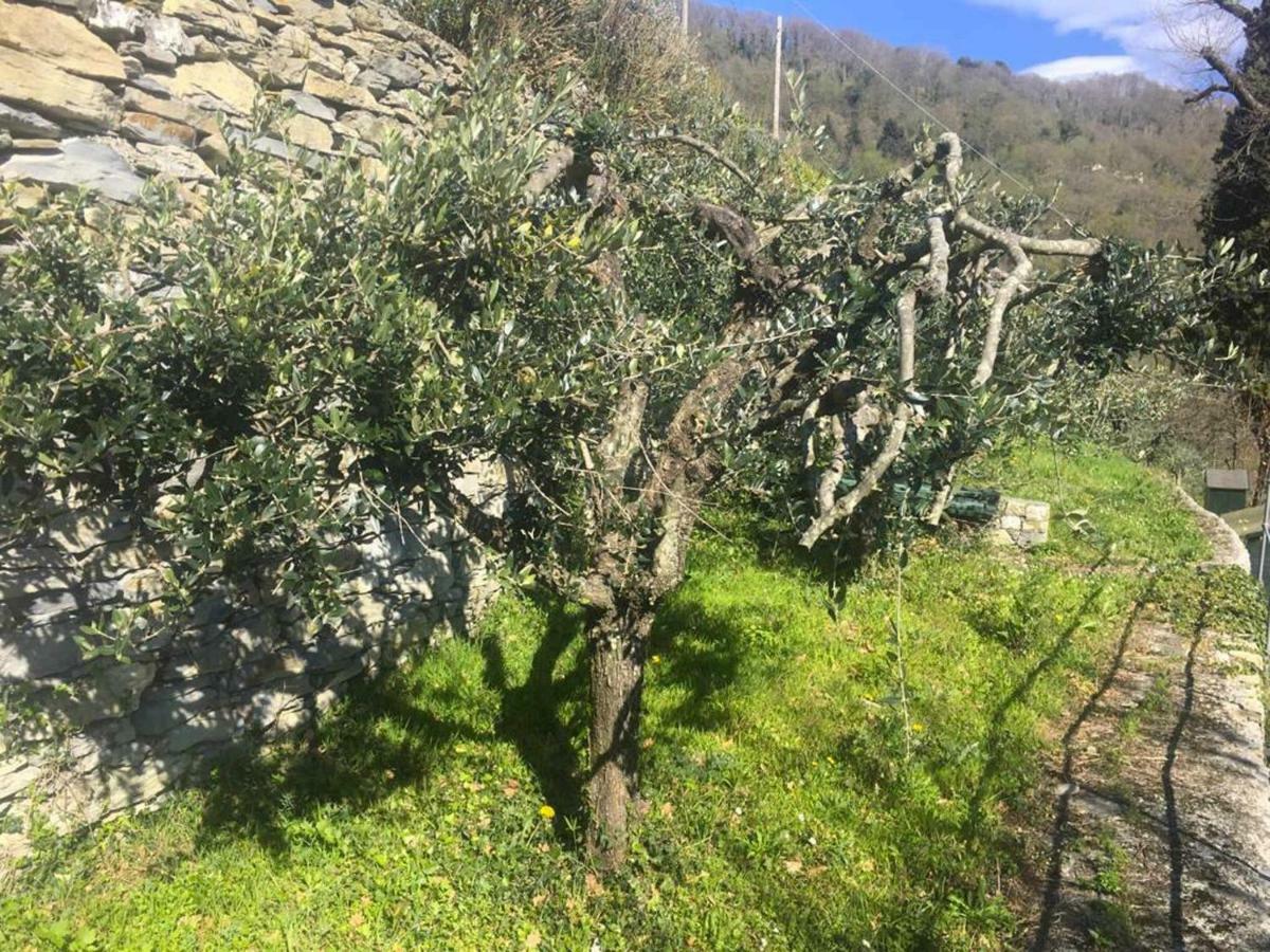 شقة Vista Portofino راباللو المظهر الخارجي الصورة